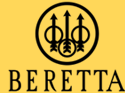 AFS Beretta Firearm Rentals MA