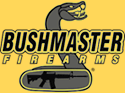 AFS Bushmaster Firearm Rentals MA